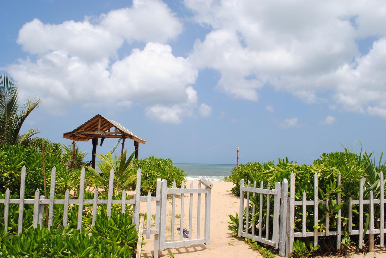 Asha Beach & Spa Tangalle Exteriör bild